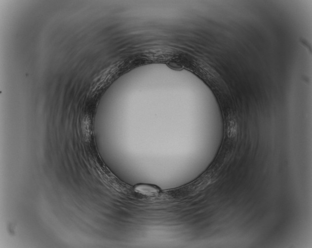 X0000101661108200807241411