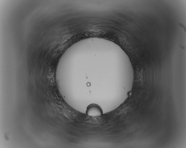 X0000101661109200807241411