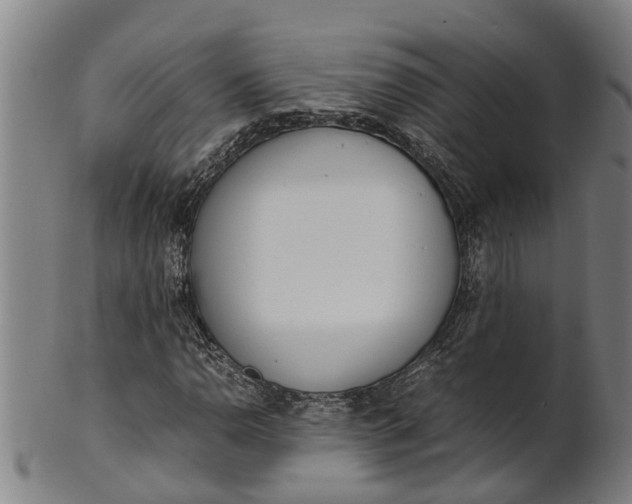 X0000101661110200807241411