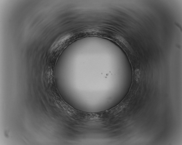 X0000101661111200807241411