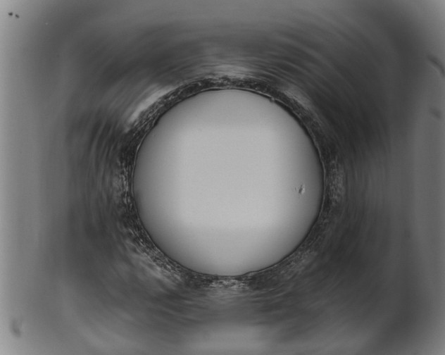 X0000101661112200807241411