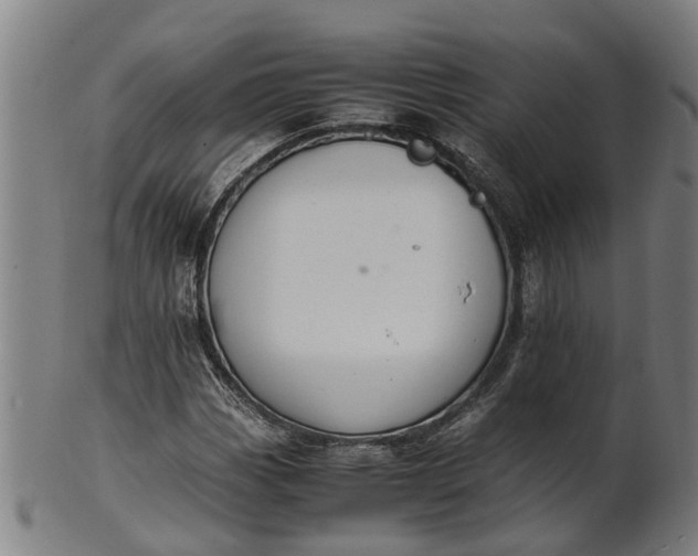 X0000101661113200807241411