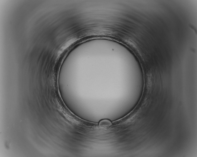 X0000101661114200807241411