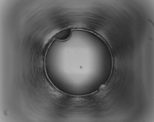 X0000101661115200807241411