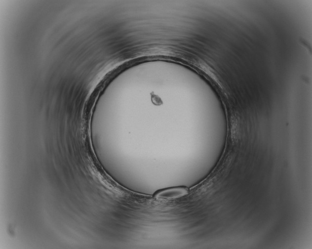 X0000101661116200807241411