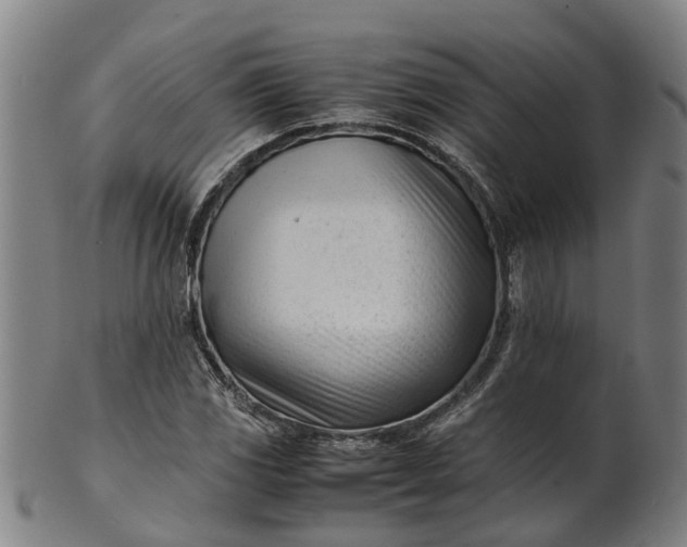 X0000101661117200807241411