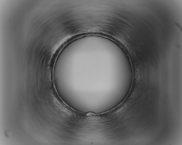 X0000101661118200807241411