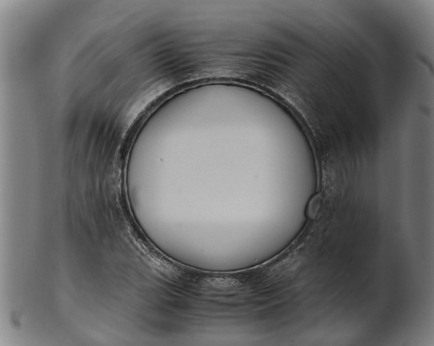 X0000101661119200807241411