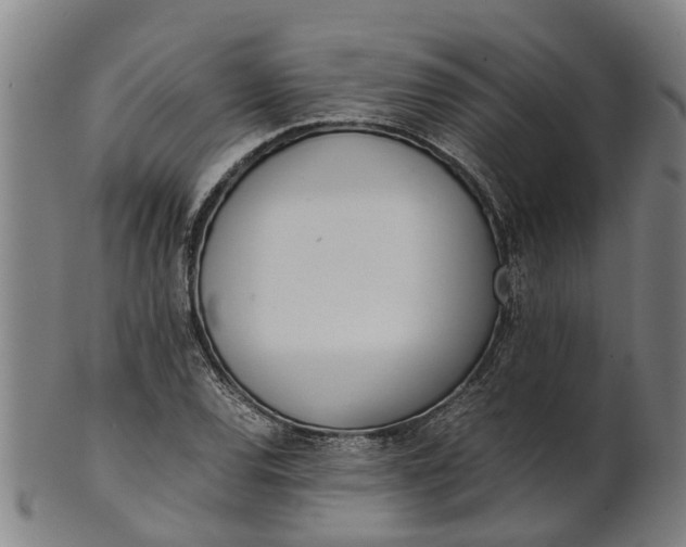 X0000101661120200807241411