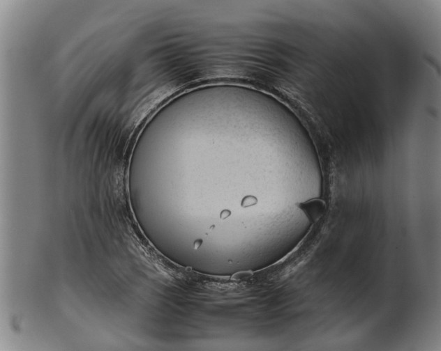 X0000101661121200807241411