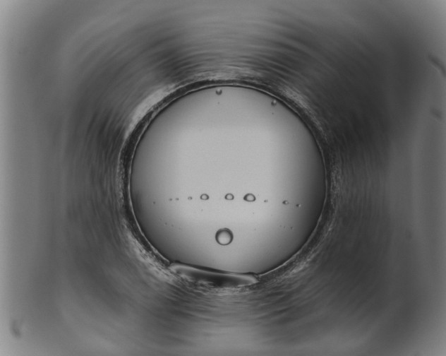 X0000101661122200807241411