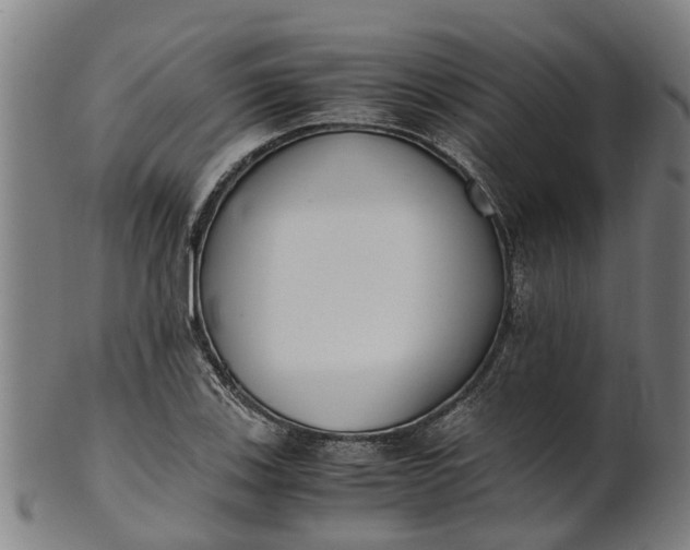 X0000101661123200807241411