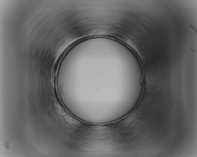 X0000101661124200807241411