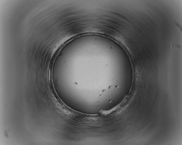 X0000101661125200807241411