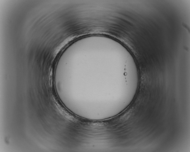 X0000101661126200807241411