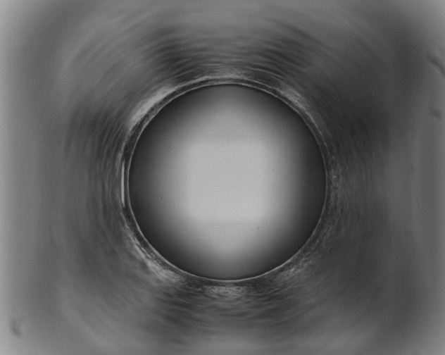 X0000101661127200807241411