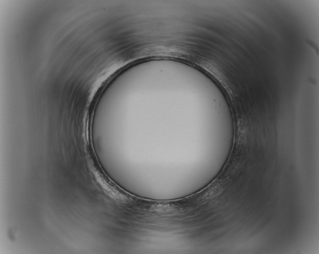 X0000101661128200807241411