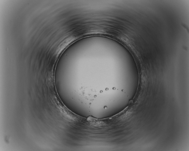 X0000101661129200807241412