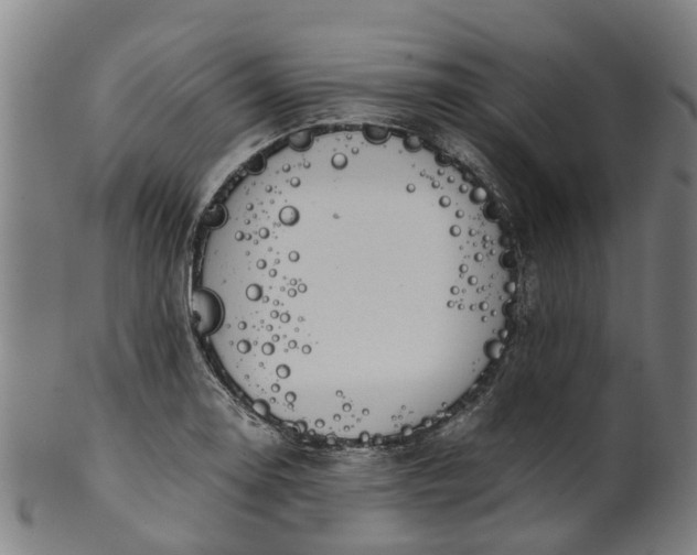 X0000101661130200807241412