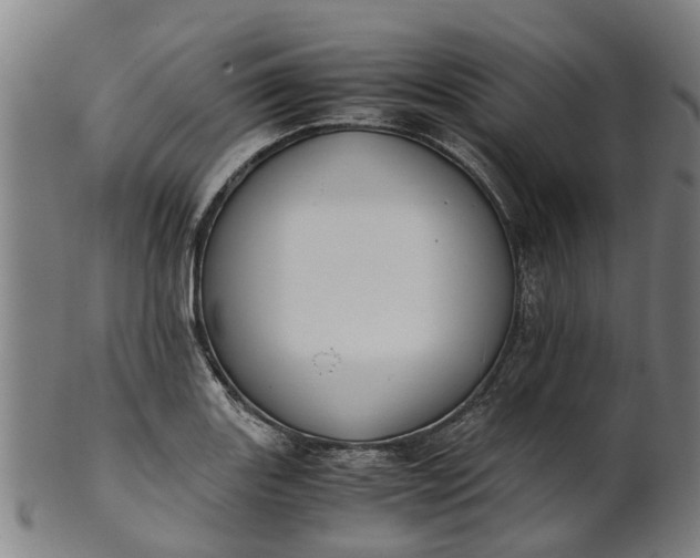 X0000101661131200807241412