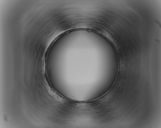 X0000101661132200807241412