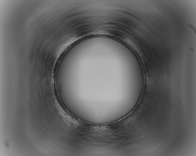 X0000101661133200807241412