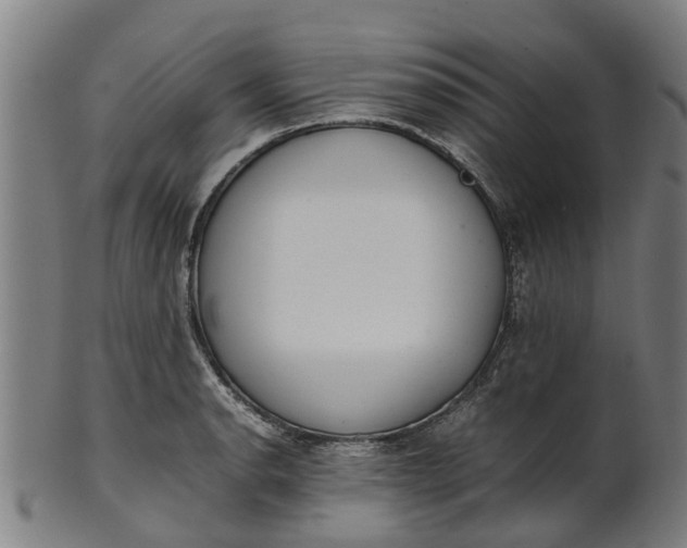 X0000101661134200807241412