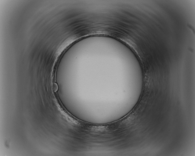 X0000101661135200807241412