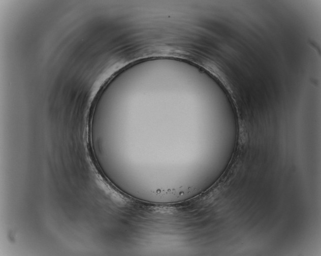 X0000101661136200807241412