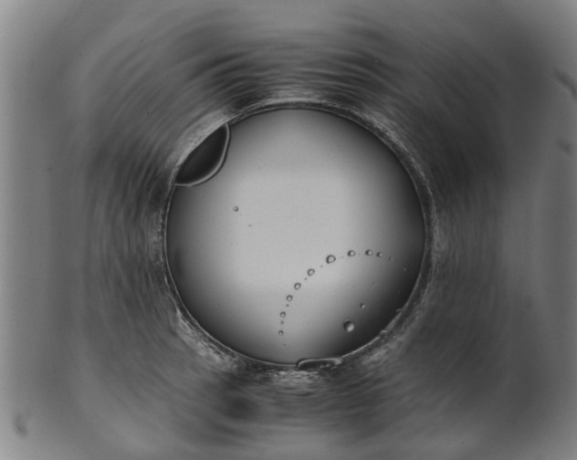 X0000101661137200807241412