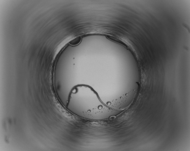 X0000101661138200807241412