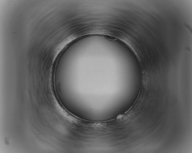 X0000101661139200807241412