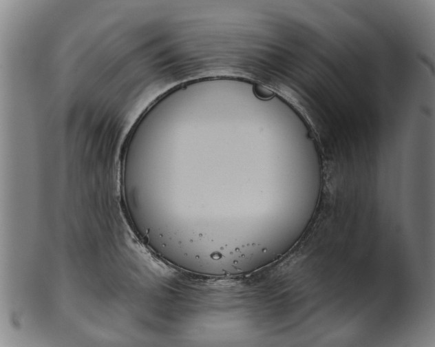 X0000101661140200807241412