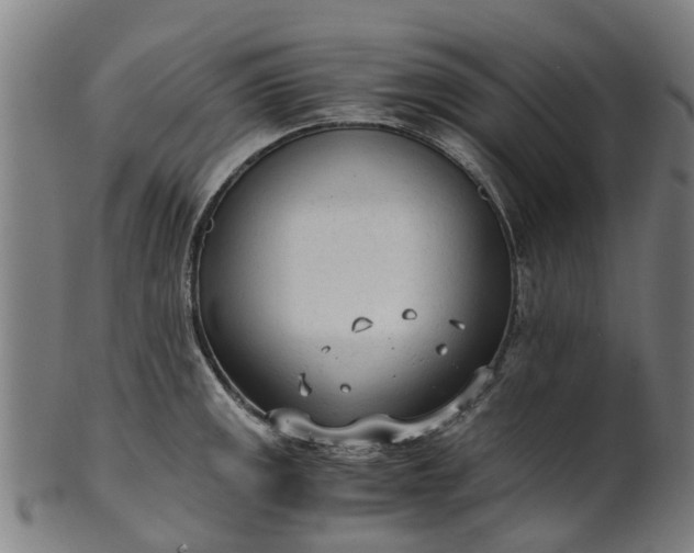 X0000101661141200807241412