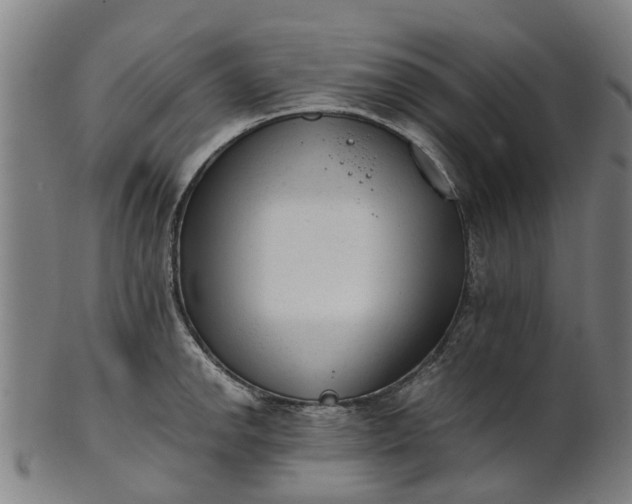 X0000101661142200807241412