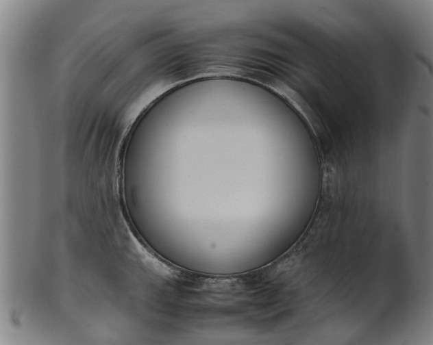 X0000101661143200807241412