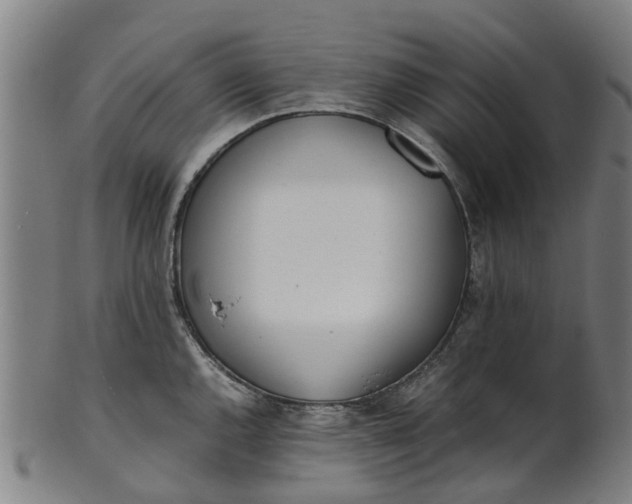 X0000101661144200807241412