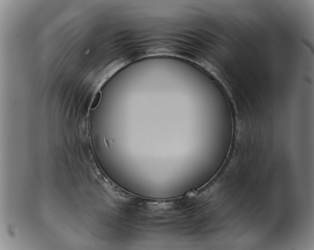 X0000101661145200807241412