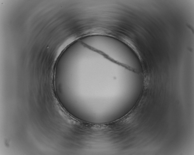 X0000101661146200807241412