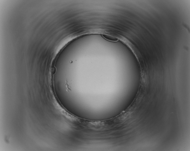 X0000101661147200807241412