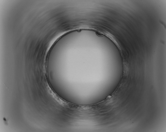 X0000101661148200807241412