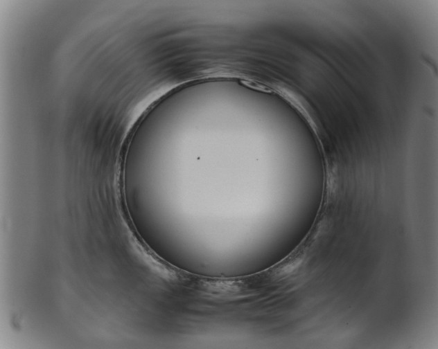 X0000101661149200807241412