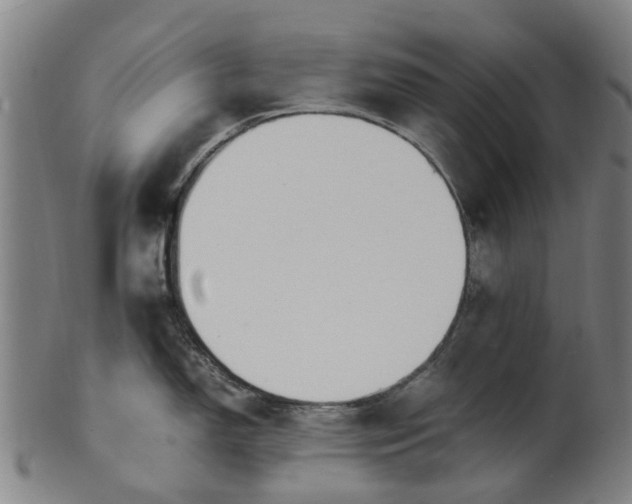 X0000101661150200807241412