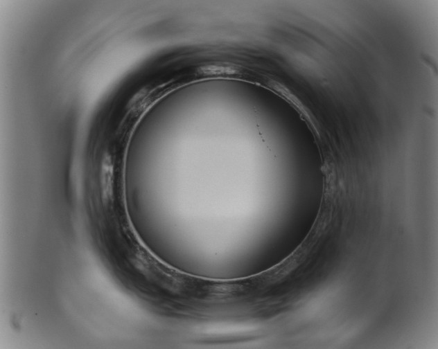 X0000101661151200807241412