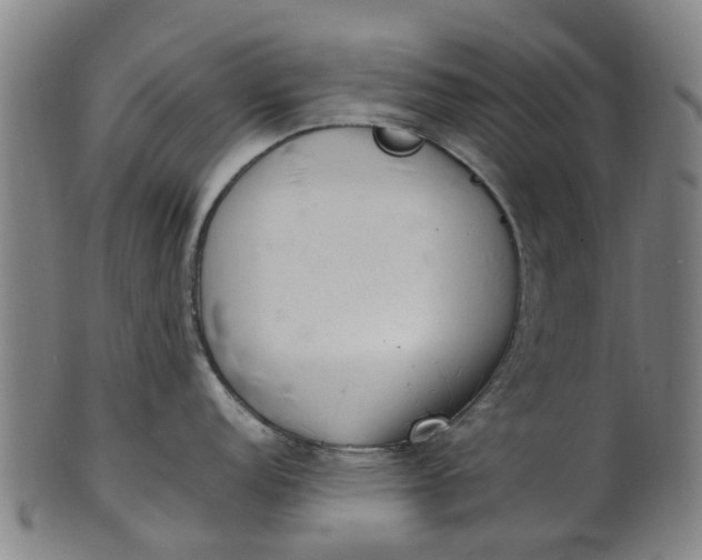 X0000101661152200807241412