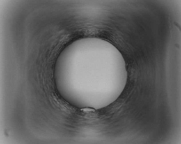 X0000101661153200807241411