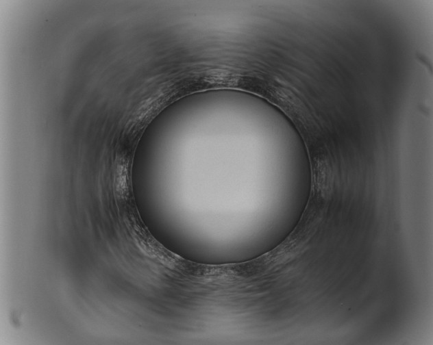 X0000101661154200807241411