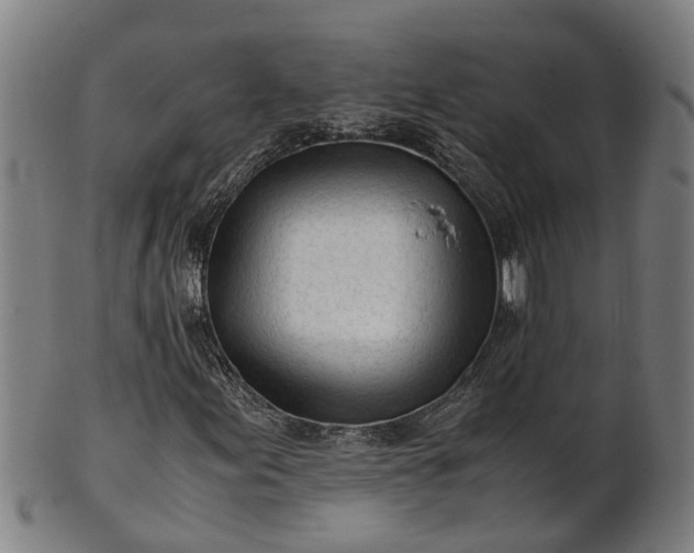 X0000101661155200807241411