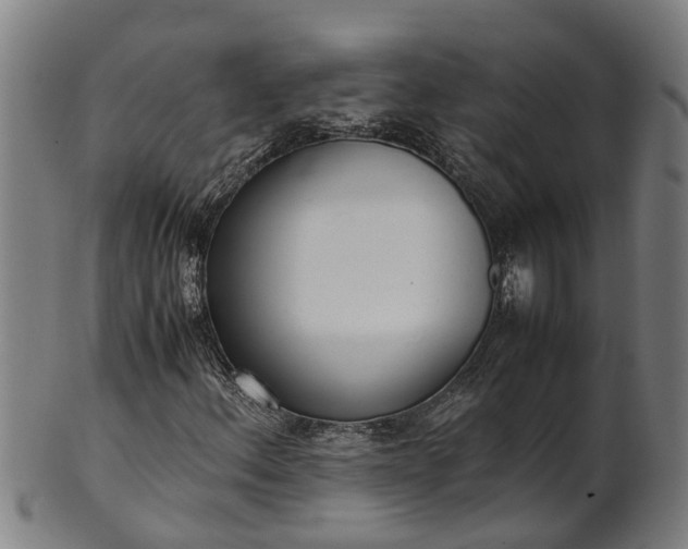 X0000101661156200807241411