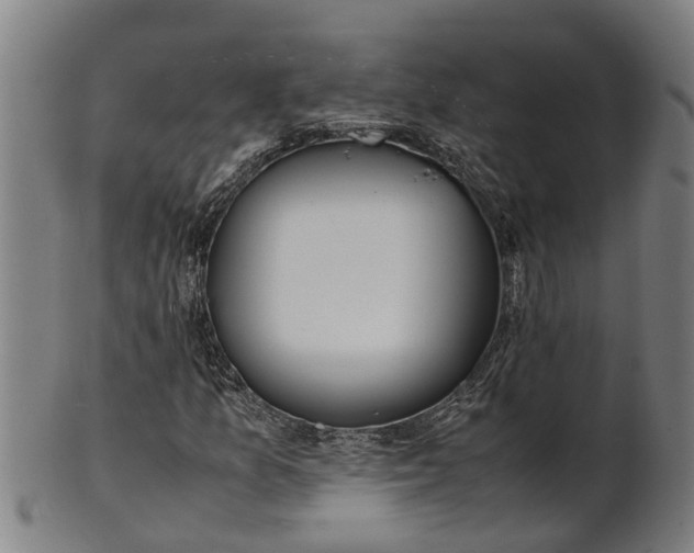 X0000101661157200807241411